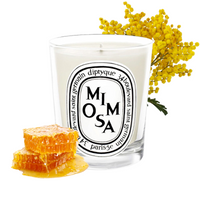 Diptyque Mimosa Candle  | Mimosa Scented Candle