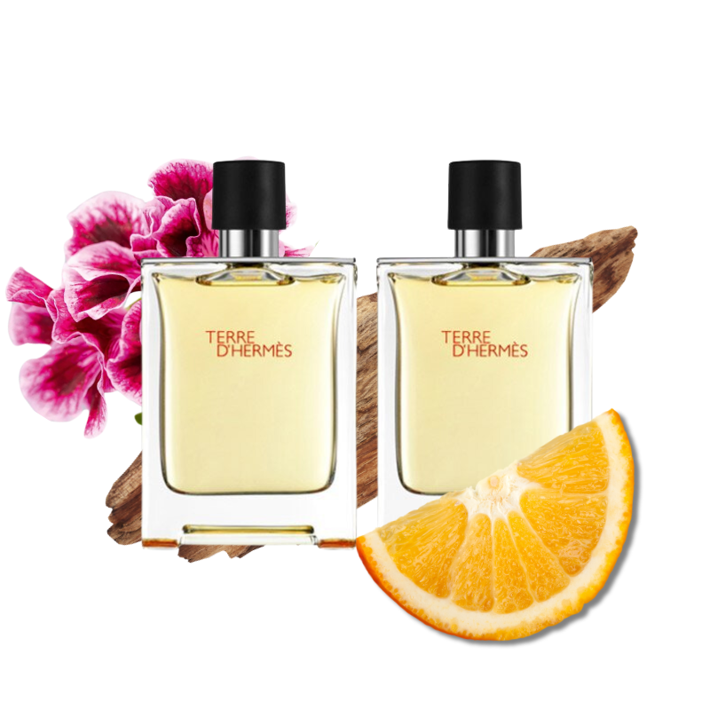 Hermes Terre D'Hermes Eau de Toilette Duo Set - 2x50ml