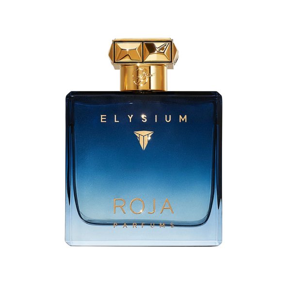 Roja Elysium Pour Homme Perfume Cologne - 100ml
