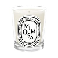 Diptyque Mimosa Candle  | Mimosa Scented Candle