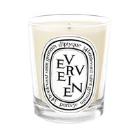 Diptyque Verveine Candle | Lemon scented candle