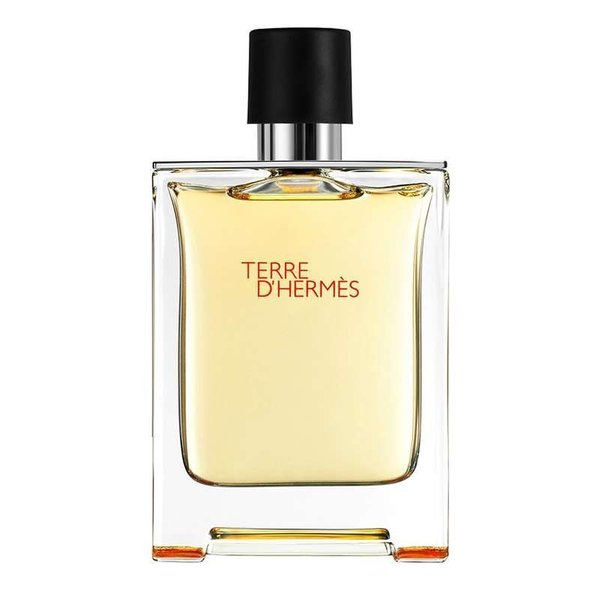 Hermes Terre d'Hermes Eau de Toilette - 50ml (Box Damaged)